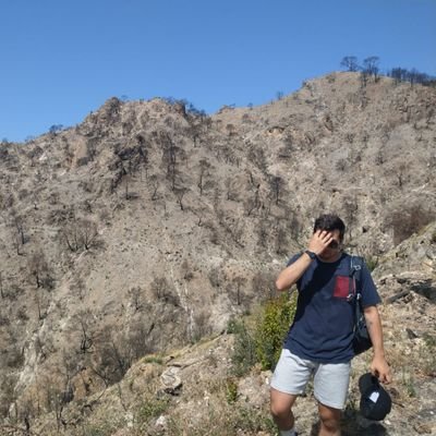 Mis intereses pasan por la ciencia, ciencia ficción, deporte, cine y geopolítica. Opinólogo en todología. Ingeniero forestal 🌲🔥 y doctor 🧑🎓