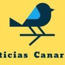 Noticias Canarias(@noticanarias) 's Twitter Profile Photo