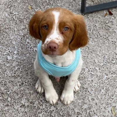 ChuckChuckp's profile picture. 