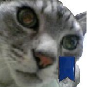 蝦夷ほいさんのプロフィール画像