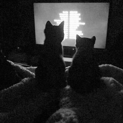 o_2cw's profile picture. ابحث عن شخص يريد دالما ان يعرف كيف كان يومك.🦋