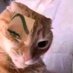 Boop beep boop (@k8n8gb9q8q) Twitter profile photo Boop beep boop (@k8n8gb9q8q) Twitter profile photo