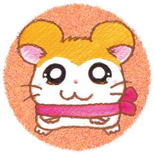 h8__achan's profile picture. 