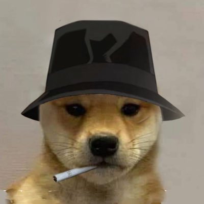ヾ(^｡^)ノさんのプロフィール画像