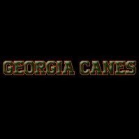GA CANES (@canesga) 's Twitter Profile