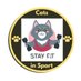 Cats in Sport (@catsinsport) Twitter profile photo