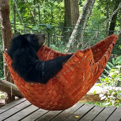 etai4542's profile picture. 