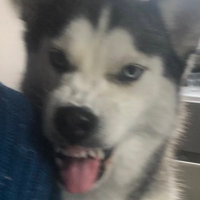 DelvinDanny's profile picture. 🎗️