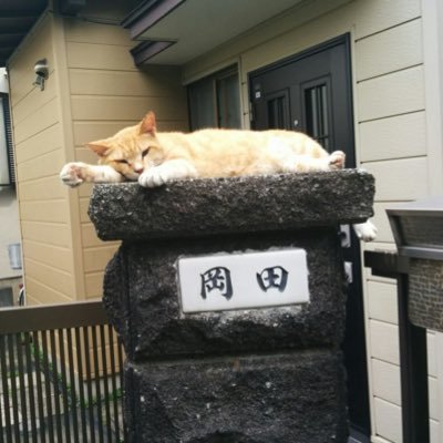 3Hg04's profile picture. 