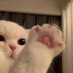 dituttt (@bnnstrawberries) Twitter profile photo dituttt (@bnnstrawberries) Twitter profile photo