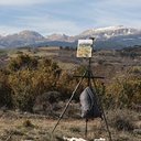 Venus Pinner - @venus42470 - Twitter