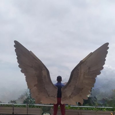 jefcar29's profile picture. opiniones personales.