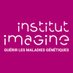 Institut Imagine (@InstitutImagine) Twitter profile photo