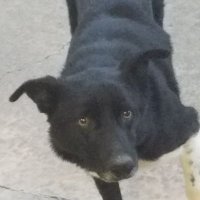Rob (@rgr58rr) 's Twitter Profile