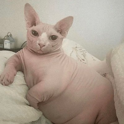 tellez_vaal's profile picture. 