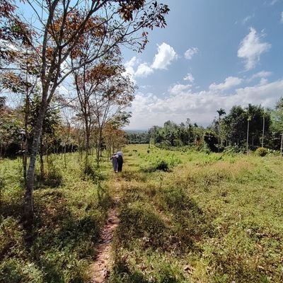 Advaithhhhhh's profile picture. 