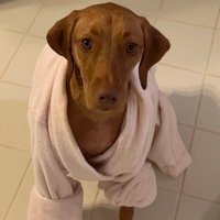 MADEngineer (@madengineer65) 's Twitter Profile