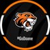 Doane Tigers 🐯 (@DoaneAthletics) Twitter profile photo