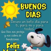 Diana Josefina Iriarte Avila (@dianajosef92628) 's Twitter Profile