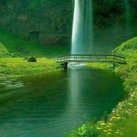 merten6565 (@merten6565) 's Twitter Profile Photo