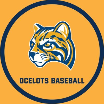 The Official Twitter Account for the Schoolcraft College Baseball Team. #OcelotPride | 2021 D2 playoff qualifier | 2016,2018 D3 Region XII Champs
