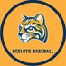 Schoolcraft College Baseball (@ocelotbaseball) Twitter profile photo Schoolcraft College Baseball (@ocelotbaseball) Twitter profile photo