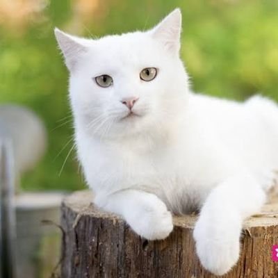 Monblancg's profile picture. อดีตเรียนรู้ความผิดพลาด
อนาคตมีไว้เดินและแก้ไข🦾🎆
Engineer|Architecture|Travel|Eat|Ancient
#Coffeelover☕
#เอาไว้บ่น