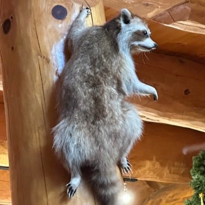 T1999blaze's profile picture. 