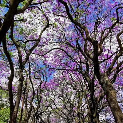 JanOBK7's profile picture. 