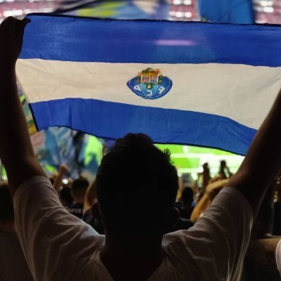 Treinador, Comentador e Dirigente de Bancada