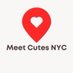 Meet Cutes NYC (@MeetCutesNYC) Twitter profile photo