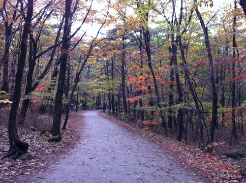 ssicssic0's profile picture. 여성운동가
꿈을 짓는 농사꾼(도시농부)
목공 초보
유목적 삶을 꿈꾸는...