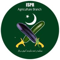 حک_می🇵🇰 (@_hkmpk) 's Twitter Profile