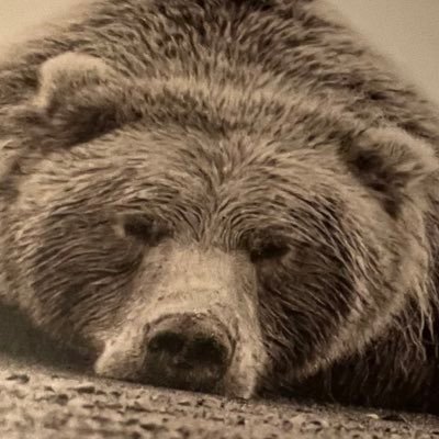 Grizz2wavy901's profile picture. 