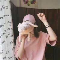 Sarah (@christwode70469) 's Twitter Profile