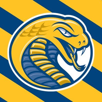 Coker University Men's Soccer Profile