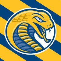 Coker University Men's Soccer(@CokerCobrasMSOC) 's Twitter Profile Photo