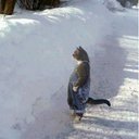 Aiden Monroe - @AidenMonro24585 - Twitter