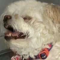 Owen (@omilo2218) 's Twitter Profile