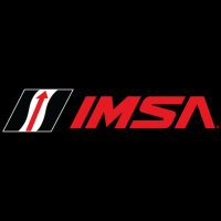 IMSA(@IMSA) 's Twitter Profile Photo