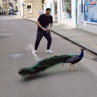 🛒Trolley Snatcha🛒 (@trolleysnatcha) 's Twitter Profile