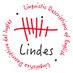 LINDES (@lindes_usal) Twitter profile photo LINDES (@lindes_usal) Twitter profile photo