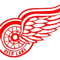 Deer Lake Red Wings (@dlredwings635) 's Twitter Profile