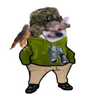 Peeter Zerblat (@peeterzerblat) 's Twitter Profile