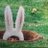 iLYsNumber_1