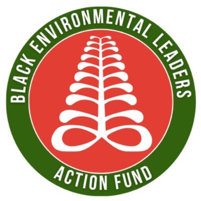 bel_actionfund Profile Picture