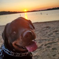 kevin flynn (@kevinflynn55) 's Twitter Profile