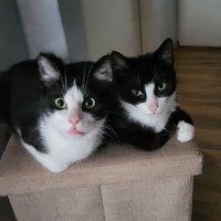 m (@przymknijsie) 's Twitter Profile