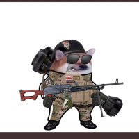 Ataleoftwotails. 🇺🇸🏴🇬🇧 (@ataleoftwotails) 's Twitter Profile