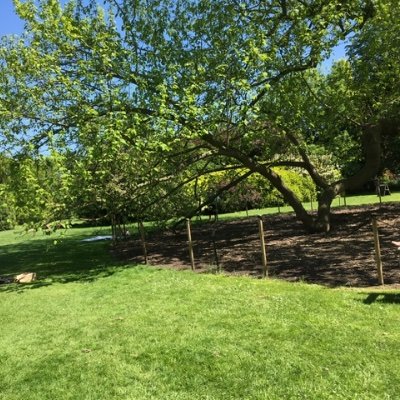 Crowe_JE's profile picture. .